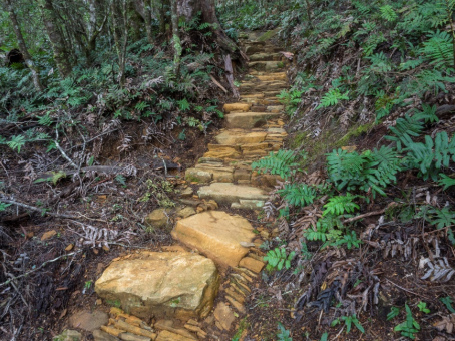 stone steps on wilderness track